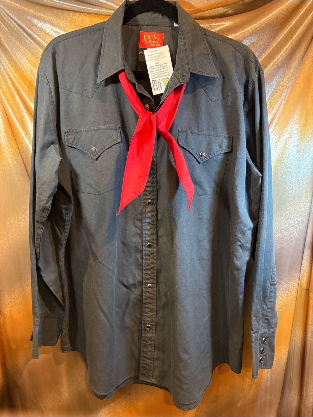 Vintage Ely Plains Black Western Button-Up garnet snaps Red Bandana. Box PP